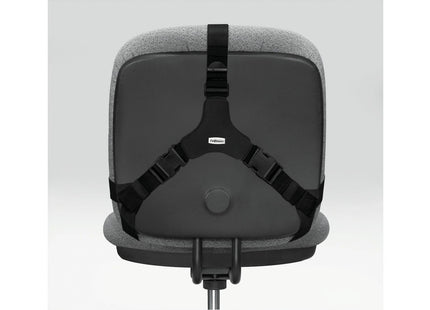 Fellowes back support Professional